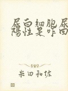 尿白细胞尿潜血阳性是咋回事