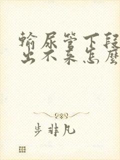 输尿管下段结石出不来怎么办