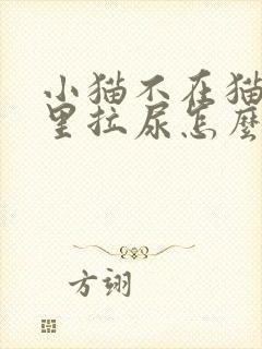 小猫不在猫砂盆里拉尿怎么办