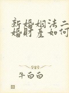 新婚姻法二婚离婚财产如何分割