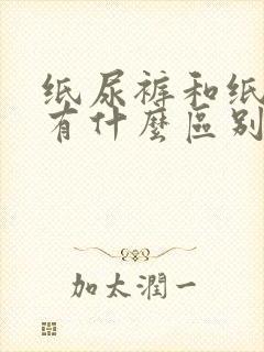 纸尿裤和纸尿片有什么区别