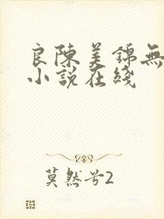 良陈美锦无删减小说在线