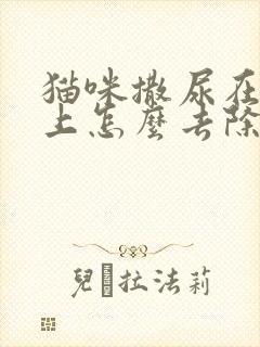 猫咪撒尿在沙发上怎么去除味道