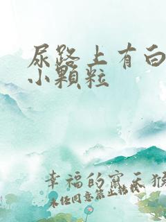 尿路上有白色的小颗粒