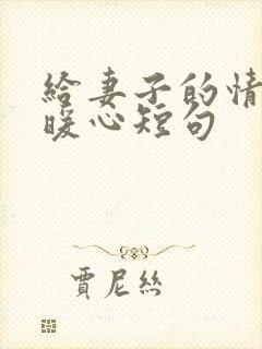 给妻子的情话最暖心短句