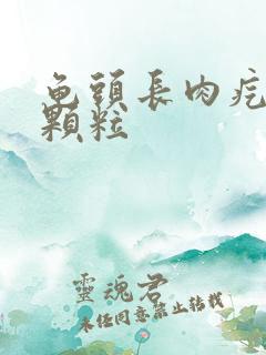 龟头长肉疙瘩状颗粒