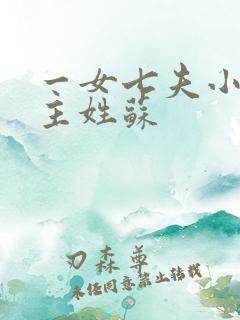 一女七夫小说女主姓苏