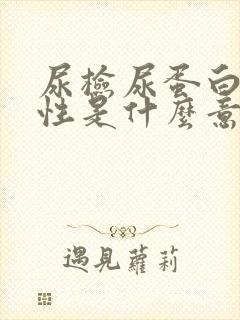 尿检尿蛋白质阳性是什么意思