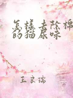 怎样去除棉被上的猫尿味