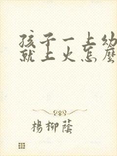 孩子一上幼儿园就上火怎么办啊