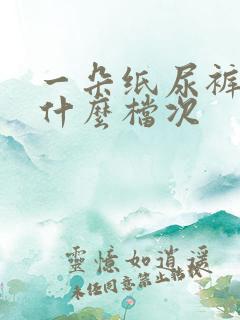 一朵纸尿裤属于什么档次