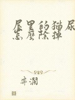 屋里的猫尿味道怎么除掉