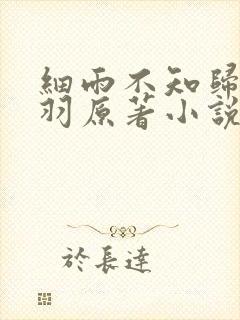 细雨不知归谢轻羽原著小说结局