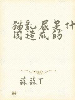 猫乱尿是什么原因造成的