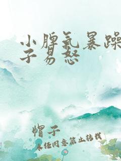 小脾气暴躁的孩子易怒