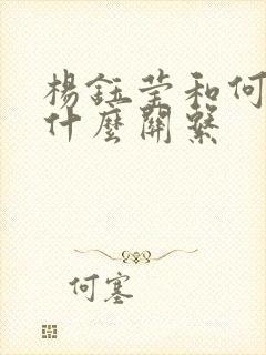 杨钰莹和何炅是什么关系