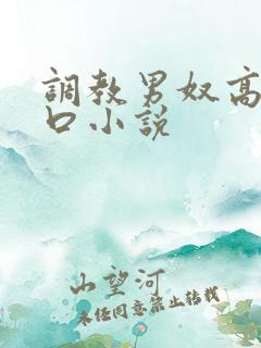 调教男奴高h重口小说