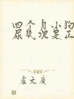 四个月小狗一天尿几次是正常