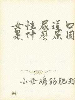 女性尿道口发痒是什么原因