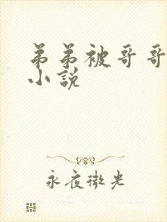 弟弟被哥哥调教小说