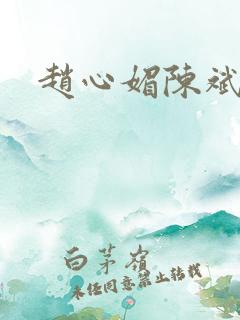 赵心媚陈斌小说