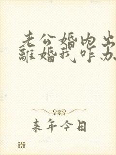 老公婚内出轨提离婚我咋办