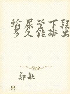 输尿管下段结石多久能排出