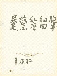 尿检红细胞28是怎么回事