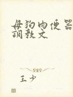 母狗肉便器灌满调教文