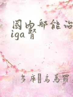 国内哪能治疗好iga肾