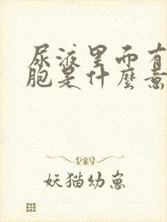 尿液里面有红细胞是什么意思