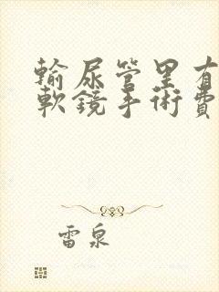 输尿管里有结石软镜手术费用多少