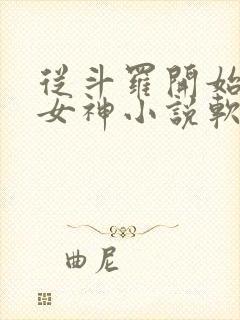 从斗罗开始俘获女神小说软件