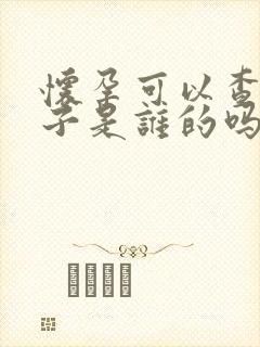 怀孕可以查出孩子是谁的吗