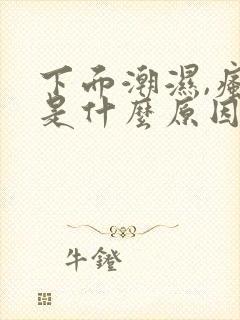 下面潮湿,瘙痒是什么原因