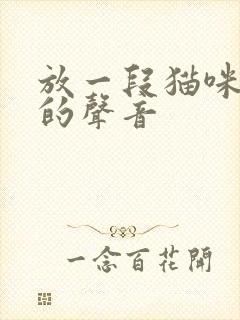 放一段猫咪害怕的声音