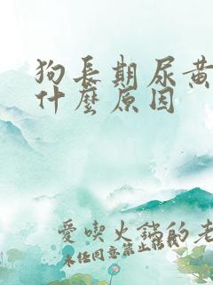 狗长期尿黄尿是什么原因