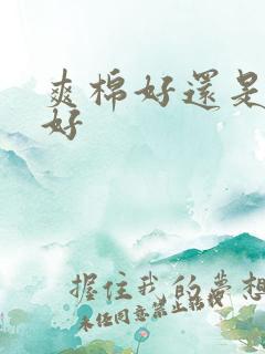 爽棉好还是纯棉好