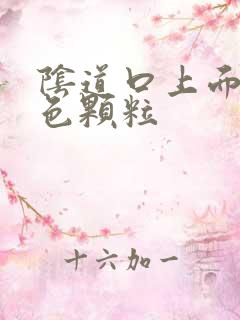 阴道口上面有白色颗粒