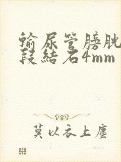 输尿管膀胱壁内段结石4mm