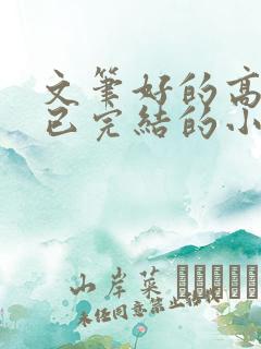 文笔好的高质量已完结的小说推荐