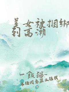 美女被捆绑调教到高潮