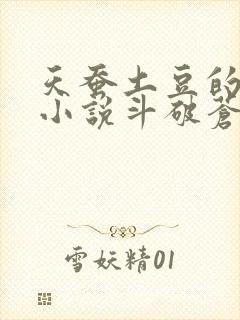 天蚕土豆的全部小说斗破苍穹