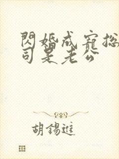 闪婚成宠总裁上司是老公