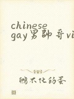 chinesegay男帅哥videos