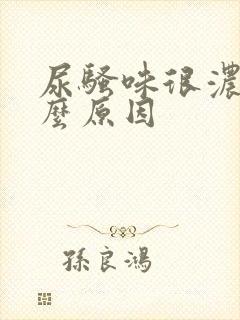 尿骚味很浓是什么原因