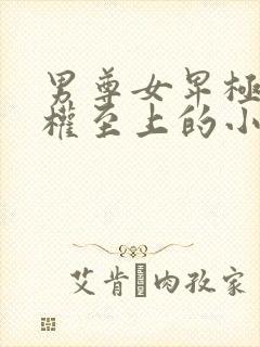 男尊女卑极度男权至上的小说