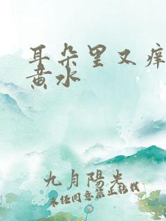 耳朵里又痒又流黄水