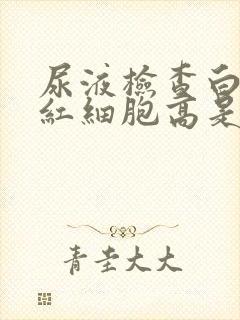 尿液检查白细胞红细胞高是什么原因