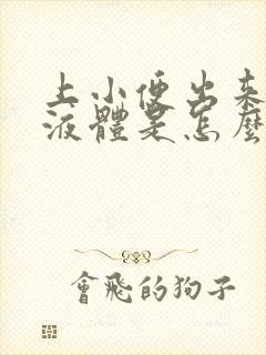 上小便出来白色液体是怎么回事